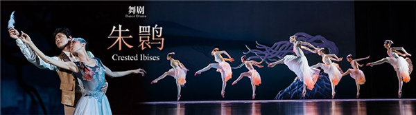 【上海站】上海歌舞团2018舞剧演出季 舞剧《朱鹮》