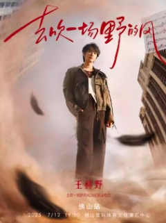 【佛山站】王赫野2025“去吹一场野的风”2.0巡回演唱会